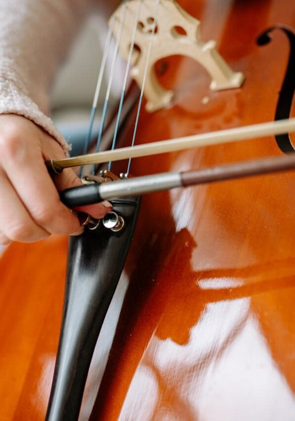 pexels-yankrukov-8519647